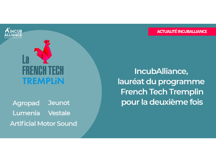 IncubAlliance une nouvelle fois lauréat du programme French Tech Tremplin